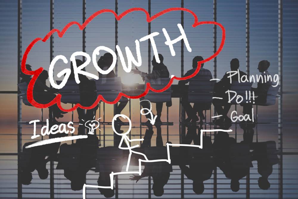 Developing a Growth Mindset for Business Owners